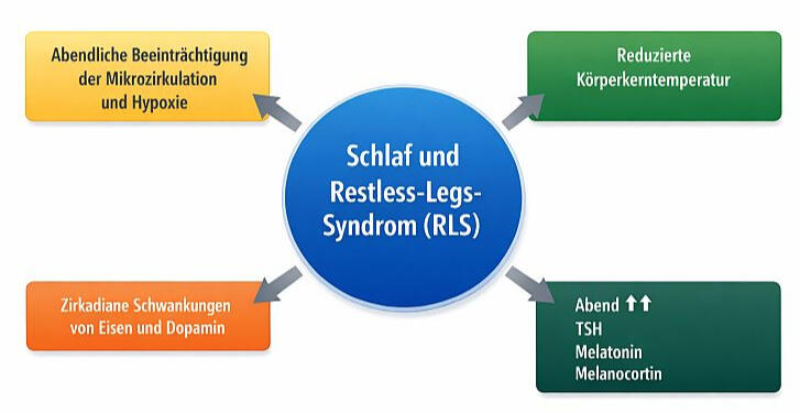 Wissenschaftliche Infografik zum Zusammenhang von Restless‑Legs‑Syndrom (RLS) und Schlaf: Zentraler blauer Kreis mit Titel, umgeben von vier farbcodierten Boxen zu physiologischen Einflussfaktoren (Eisen‑ und Dopaminrhythmik, Mikrozirkulation und Hypoxie)